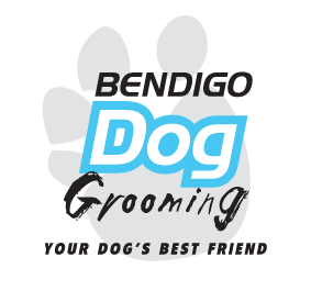 bendigo dog grooming